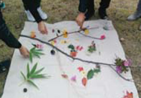 유아숲생태교육